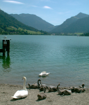 Schliersee